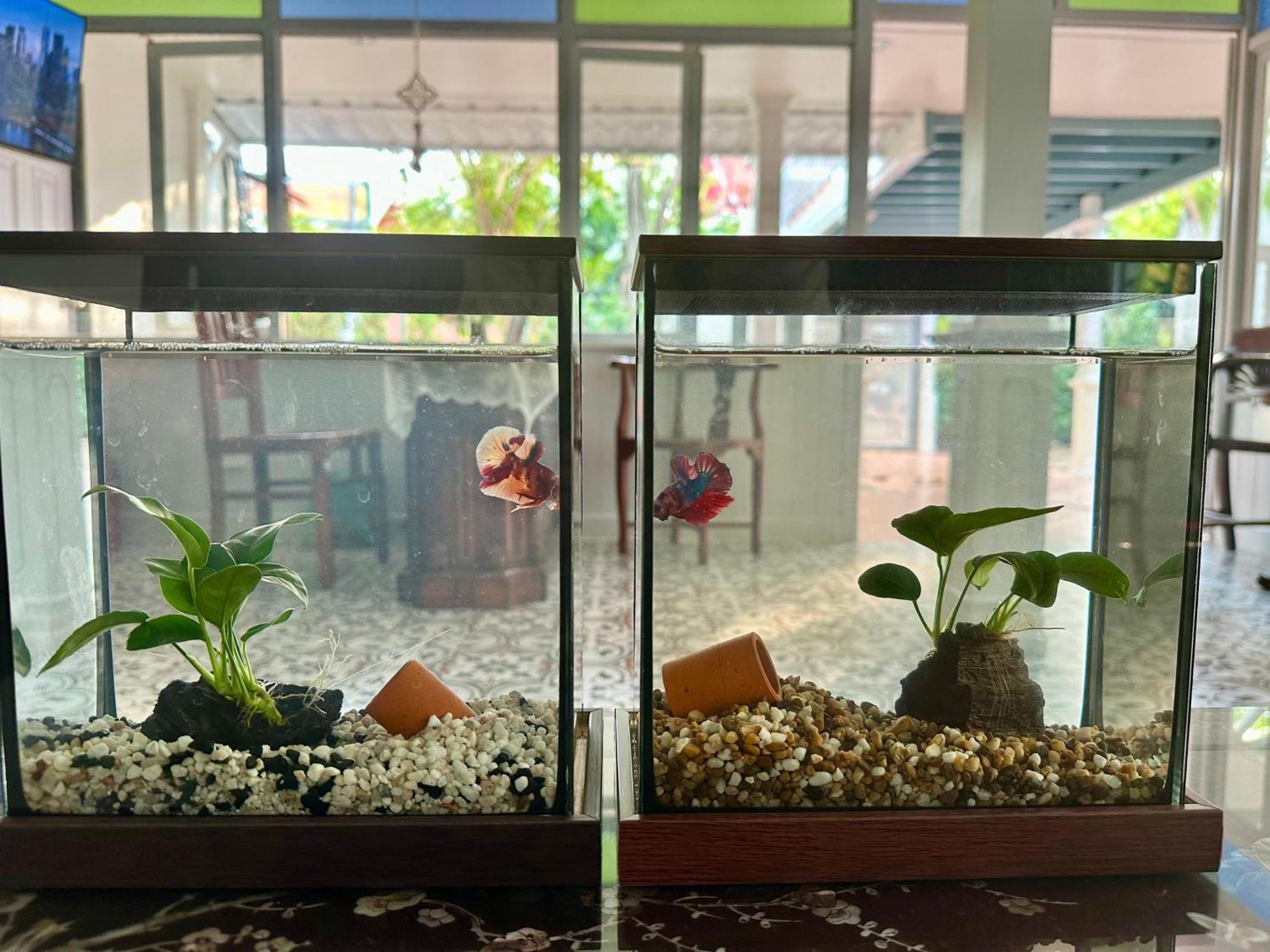 Baan Debtida Otel Bangkok Dış mekan fotoğraf