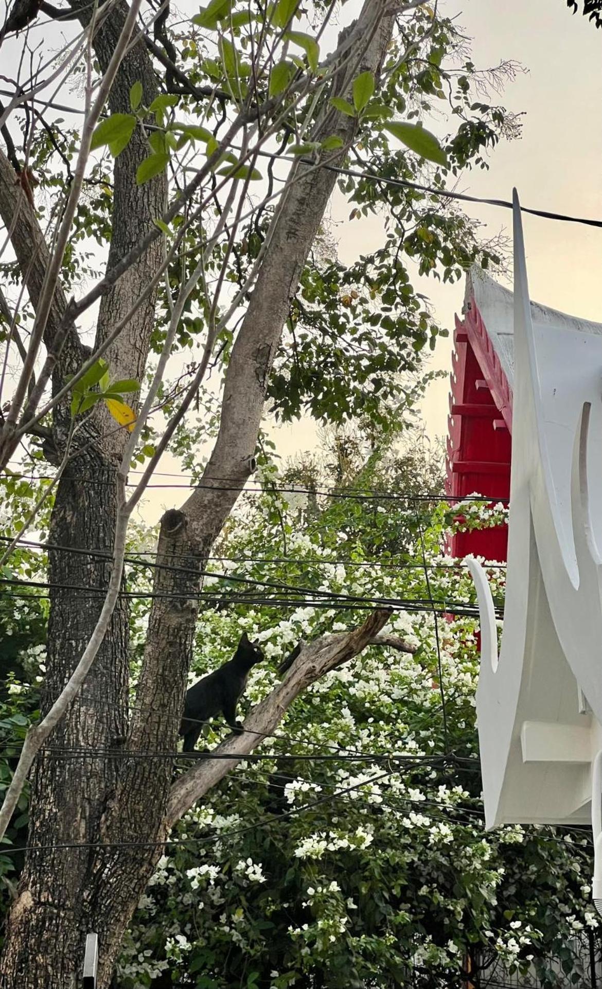 Baan Debtida Otel Bangkok Dış mekan fotoğraf