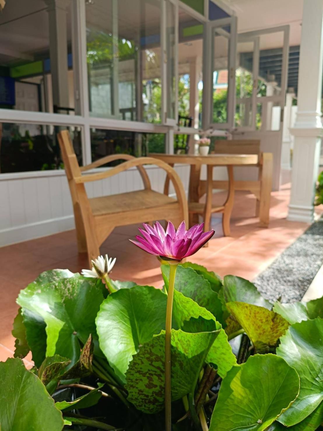 Baan Debtida Otel Bangkok Dış mekan fotoğraf