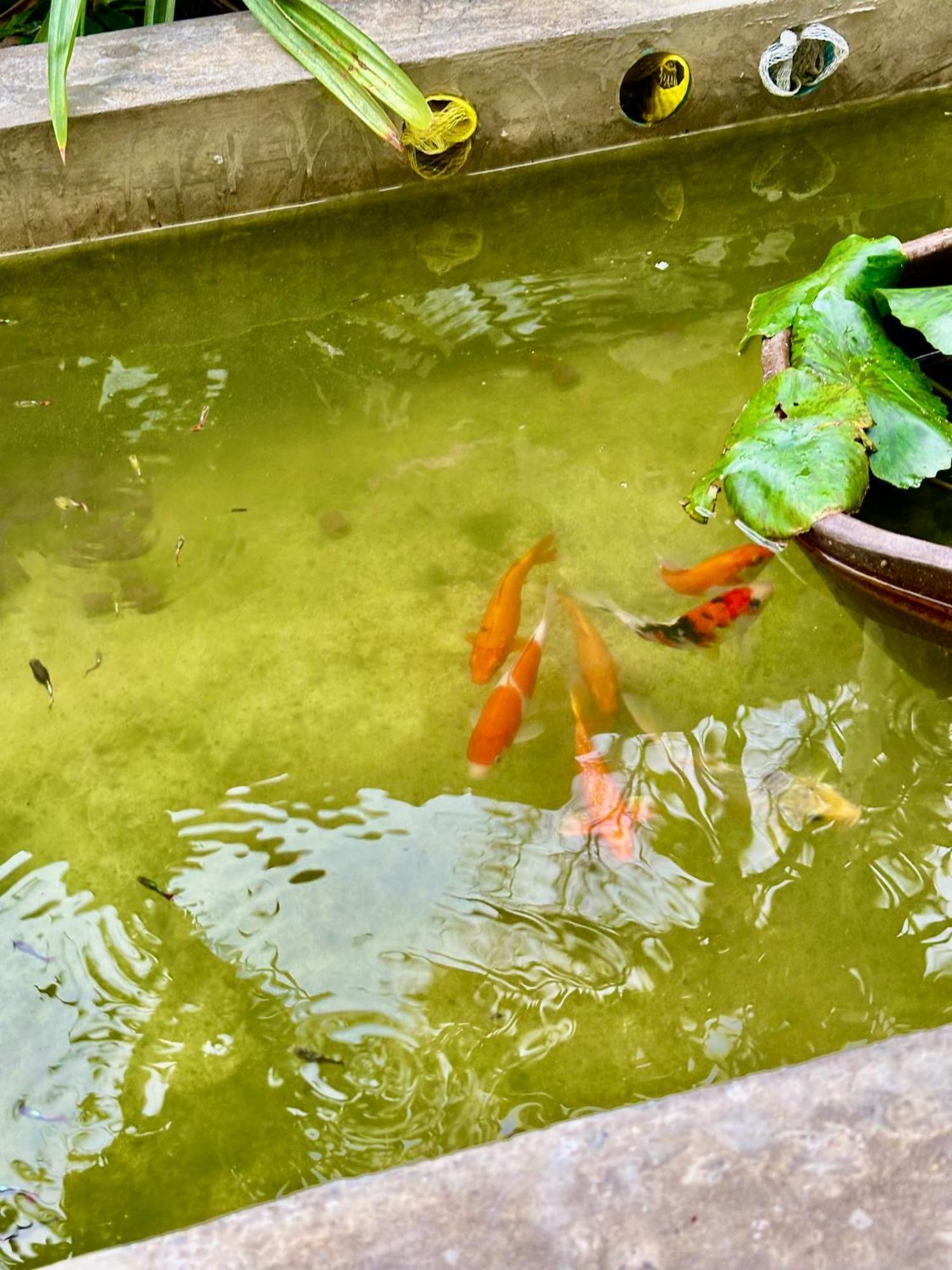 Baan Debtida Otel Bangkok Dış mekan fotoğraf
